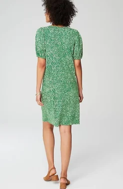 Knit Shift-Dress | Jjill