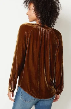 Rayon U0026 Silk Velvet Blouse | Jjill