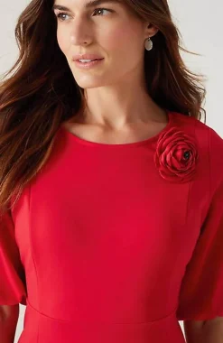 Simple Elegance Dress | Jjill