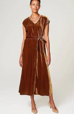 Velvet Maxi Dress | Jjill
